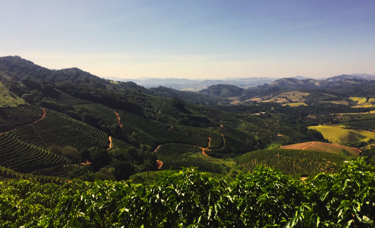 Fazenda Dois Irmãos — vista panorâmica