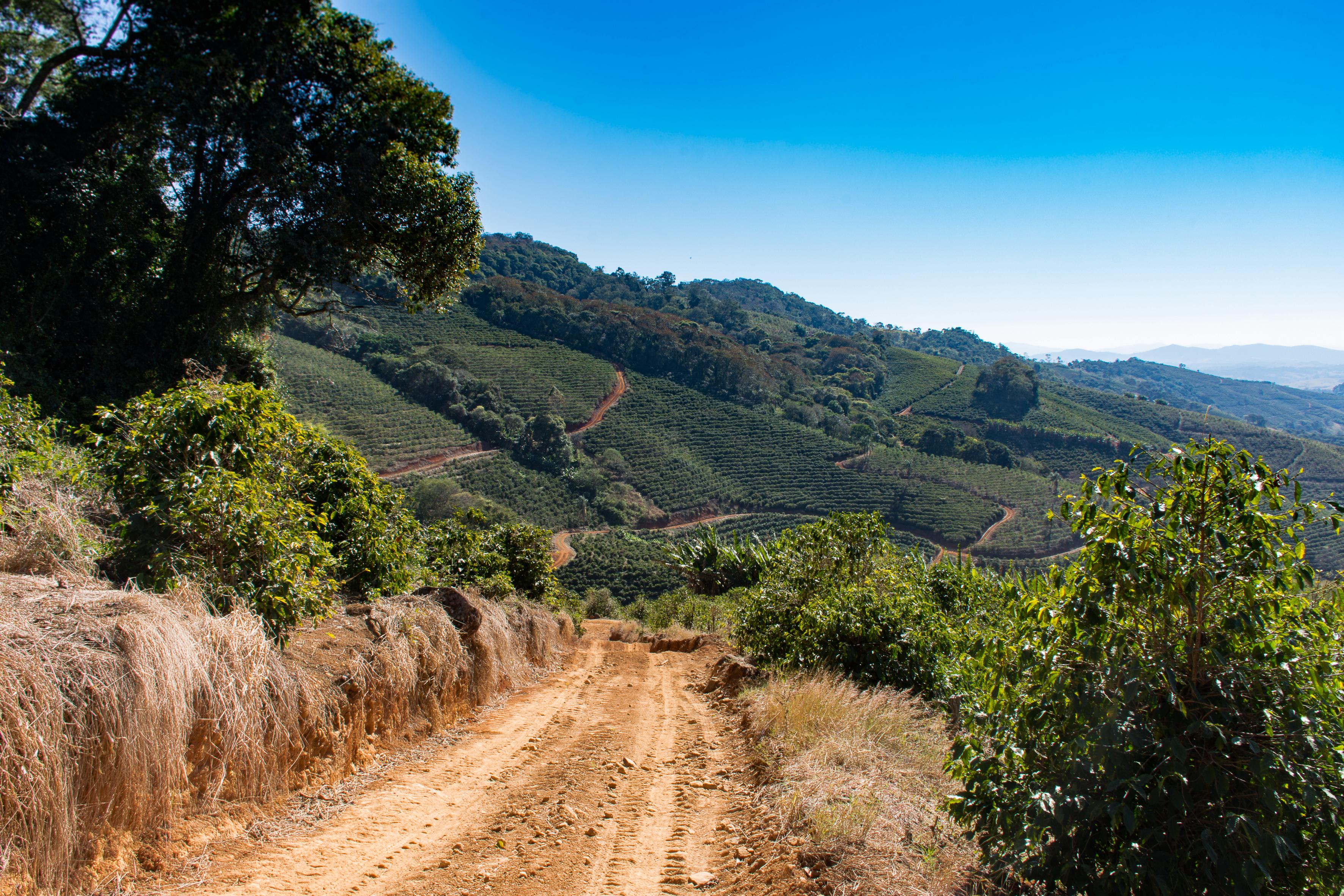 Estrada da fazenda
